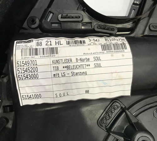 Forro De Porta Traseira Esquerda Audi A4 2011