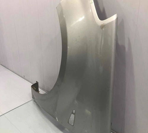 Pára-lama Esquerdo Renault Sandero 2007/2014 Com Detalhe