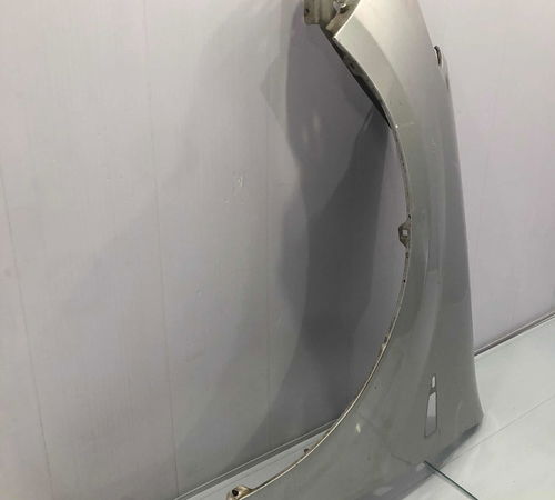 Pára-lama Esquerdo Renault Sandero 2007/2014 Com Detalhe