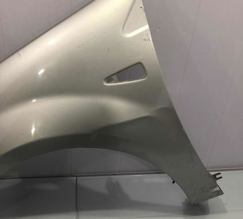 Pára-lama Esquerdo Renault Sandero 2007/2014 Com Detalhe