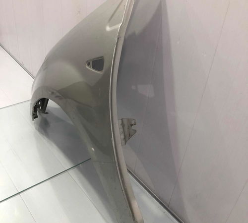 Pára-lama Esquerdo Renault Sandero 2007/2014 Com Detalhe
