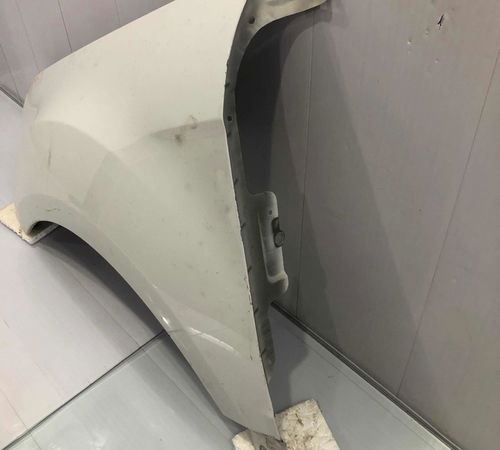 Pára-lama Esquerdo Ford Ecosport 2013/2018