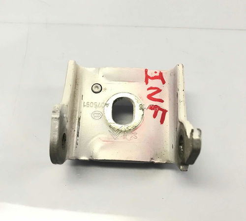 Dobradiça Inferior Porta Dianteira Esquerda Citroën C3 13/20