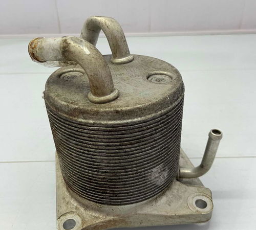 Resfriador Trocador De Calor Renault Flu...