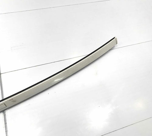 Friso De Teto Esquerdo Bmw 320i 2012/2015