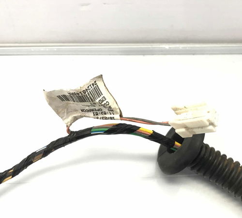 Chicote Porta Dianteira Esquerda Renault Sandero 2015/2020