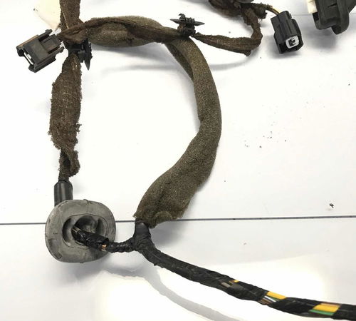 Chicote Porta Dianteira Esquerda Renault Sandero 2015/2020