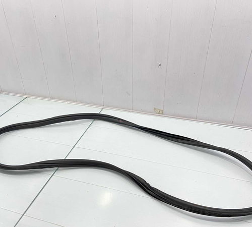Borracha Vedação Porta Direita Honda Fit 2015/2020