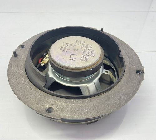 Alto Falante Porta Traseira Esq Hyundai Santa Fé 09/12