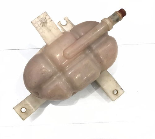 Reservatorio Agua Radiador Fiat Bravo 2011/2018