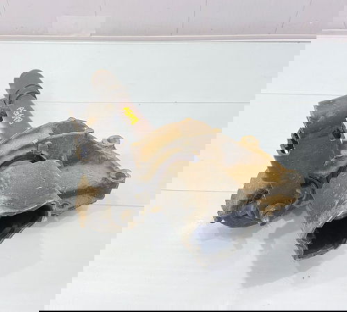 Tulipa Direita Peugeot Citröen