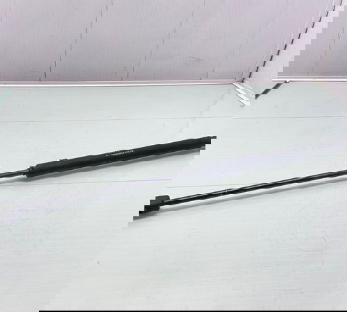 Amortecedor Capo Traseiro Ford Ecosport 2003/2012