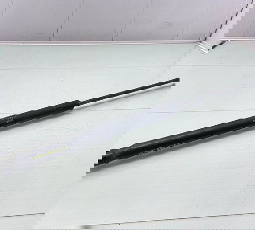 Amortecedor Capo Traseiro Ford Ecosport 2003/2012