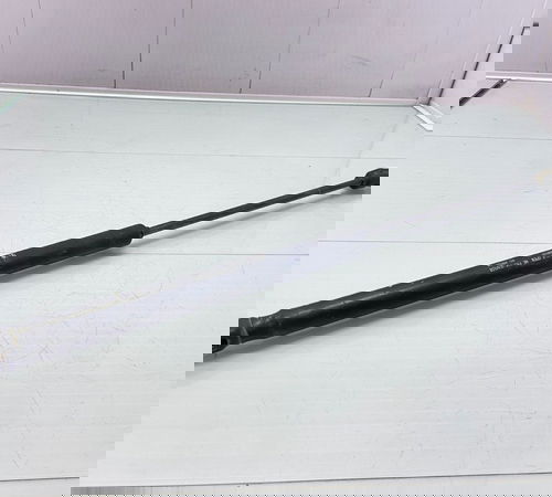 Amortecedor Capo Traseiro Ford Ecosport 2003/2012