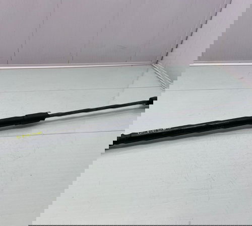 Amortecedor Esquerdo Capo Traseiro Hyundai Hb20 2013/2018