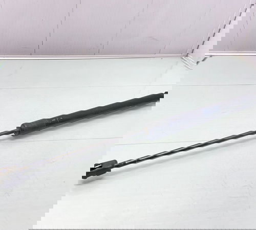 Amortecedor Capo Traseiro Volkswagen Tiguan 2011/2016