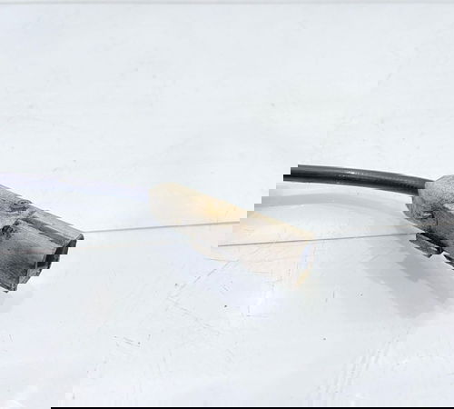 Sensor Abs Traseiro Esquerdo Renault Sandero 2015/2020