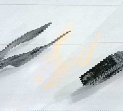 Suporte Coxim Inferior Cambio Citroen C4 Lounge Thp