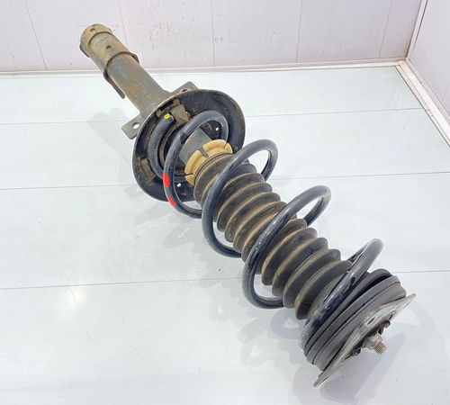 Amortecedor Traseiro Renault Oroch 2011/2021