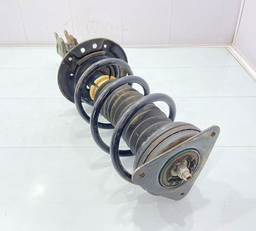Amortecedor Traseiro Renault Oroch 2011/2021