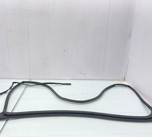 Borracha Vedação Porta Traseira Esquerda Honda City 22/23