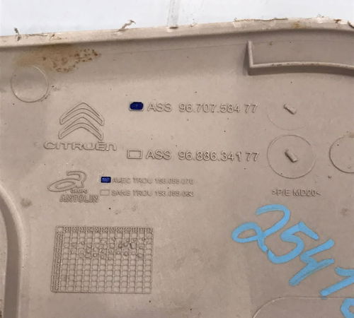 Moldura Luz De Teto Cortesia Citroen Aircross 2015/2021