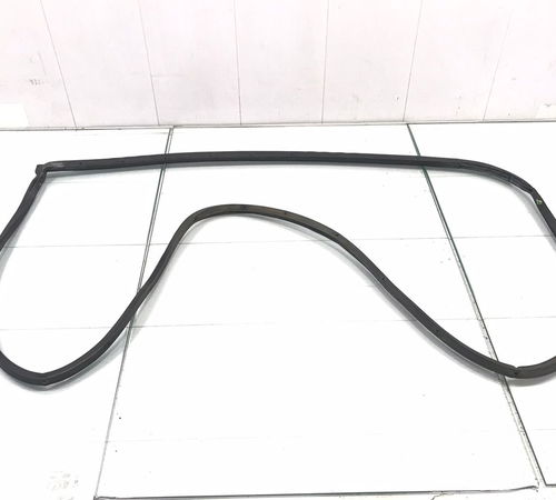 Borracha Vedação Porta Traseira Direit...