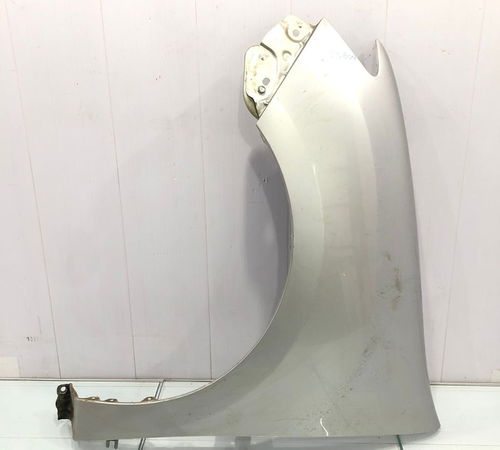 Para-lama Esquerdo Renault Sandero 2007/...
