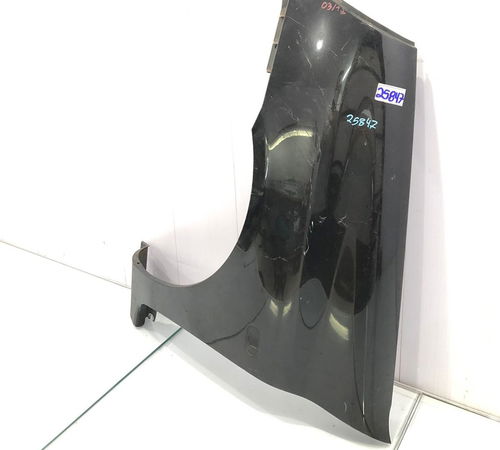 Para-lama Esquerdo Renault Clio 2003/2012