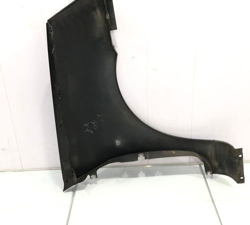 Para-lama Esquerdo Renault Clio 2003/2012