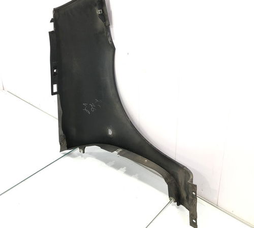 Para-lama Esquerdo Renault Clio 2003/2012