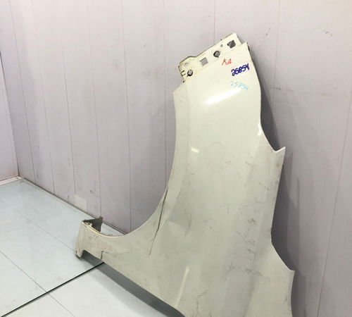 Para-lama Esquerdo Ford Ka 2015/2021 Com Detalhe