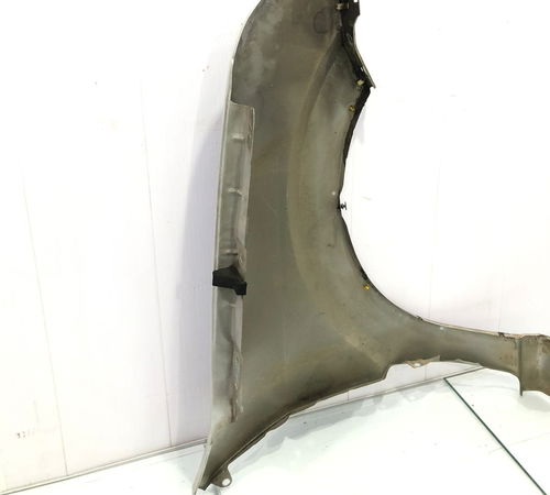 Para-lama Esquerdo Ford Ecosport 2006/2012