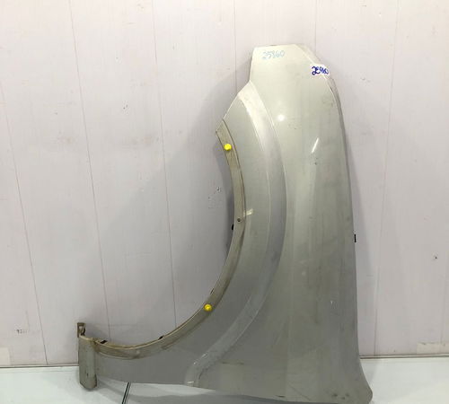 Para-lama Esquerdo Ford Ecosport 2006/20...