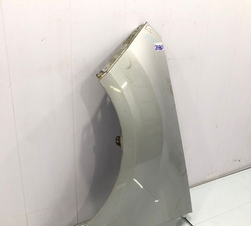 Para-lama Esquerdo Ford Ecosport 2013/2023