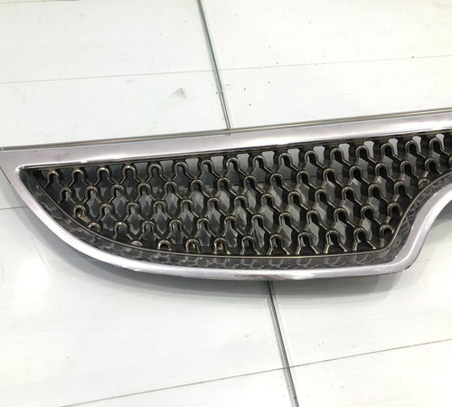 Grade Frontal Radiador Hyundai Vera Cruz C/det 2008/2012