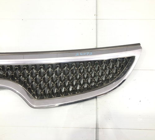 Grade Frontal Radiador Hyundai Vera Cruz C/det 2008/2012