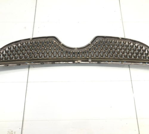 Grade Frontal Radiador Hyundai Vera Cruz C/det 2008/2012
