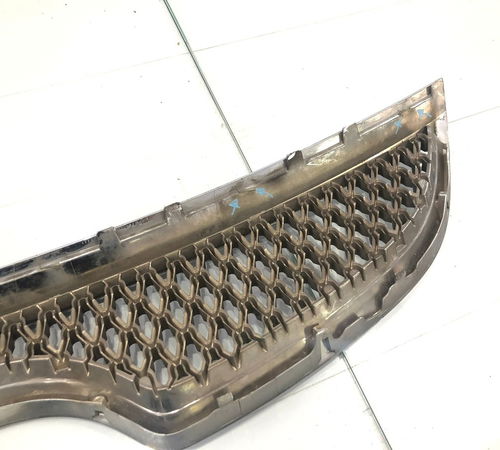 Grade Frontal Radiador Hyundai Vera Cruz C/det 2008/2012