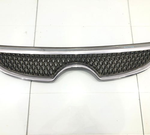 Grade Frontal Radiador Hyundai Vera Cruz...