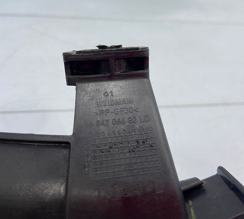 Guia Canaleta Vidro Porta Dianteira Direita Peugeot 207