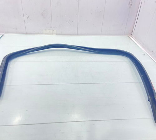 Borracha Canaleta Porta Traseira Direita Fiat Punto 08/18
