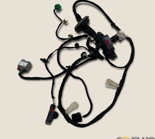 Chicote Porta Tras. Dir. Cruze Ltz 2017 (2888)