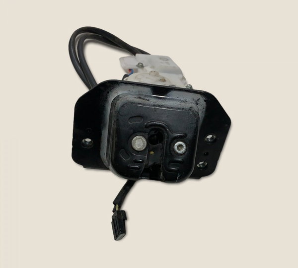 Fechadura Tampa Traseira Ford Edge 2011 (3789)