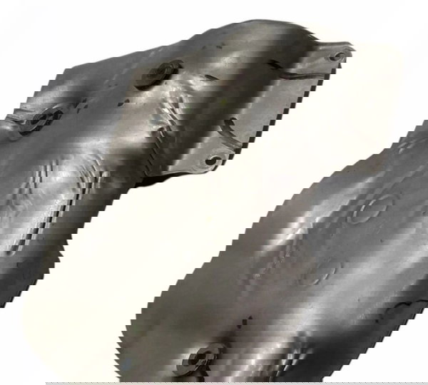 Defletor Calor Coletor Turbina Gm Cruze Lt 1.4 2019/20