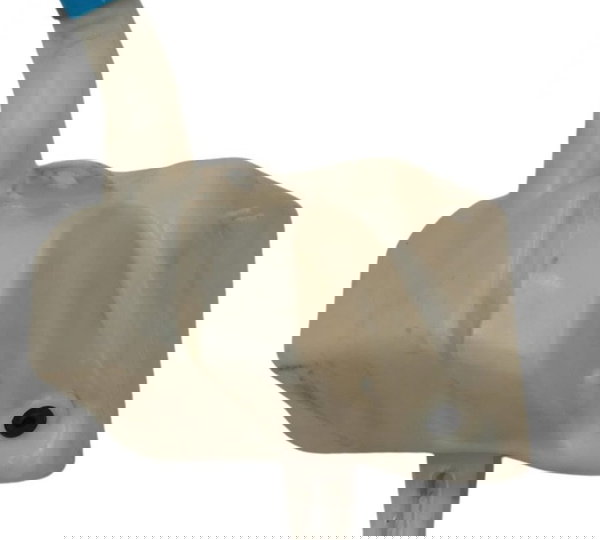 Reservatório Limpador Parabrisa Palio Attractive 1.0 2015