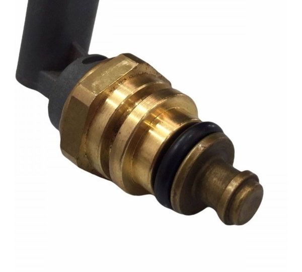 Sensor Temperatura Ford Ecosport Se 1.5 2020/21