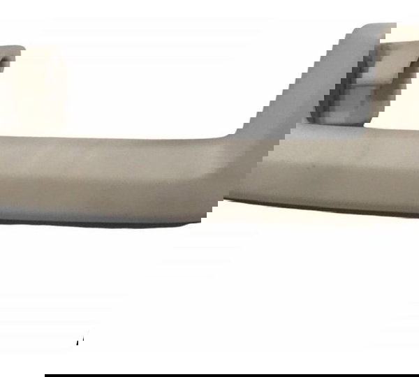 Alça Teto Ford Ecosport Se 1.5 2020/21