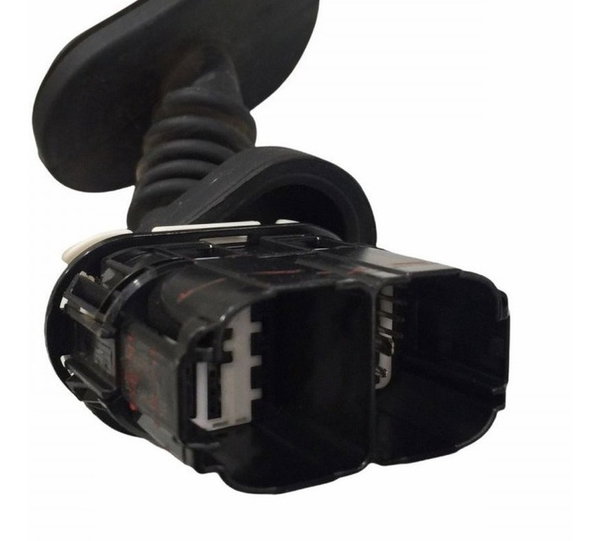 Chicote Porta Traseira Ld Ford Ecosport Se 1.5 2020/21