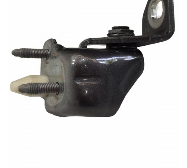 Dobradiça Porta Dianteira Ld Ford Ecosport Se 2020/21